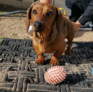 Meet your Posher, Meli